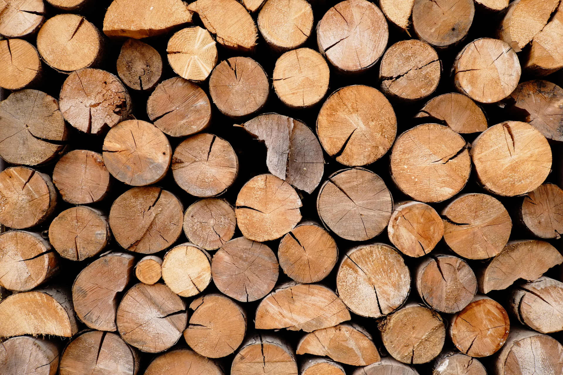 Brennholz richtig lagern – so bleibt’s trocken & effizient. Tipps von Frasch Brennholzhandel Brennholz richtig lagern – so bleibt’s trocken & effizient. Tipps von Frasch Brennholzhandel