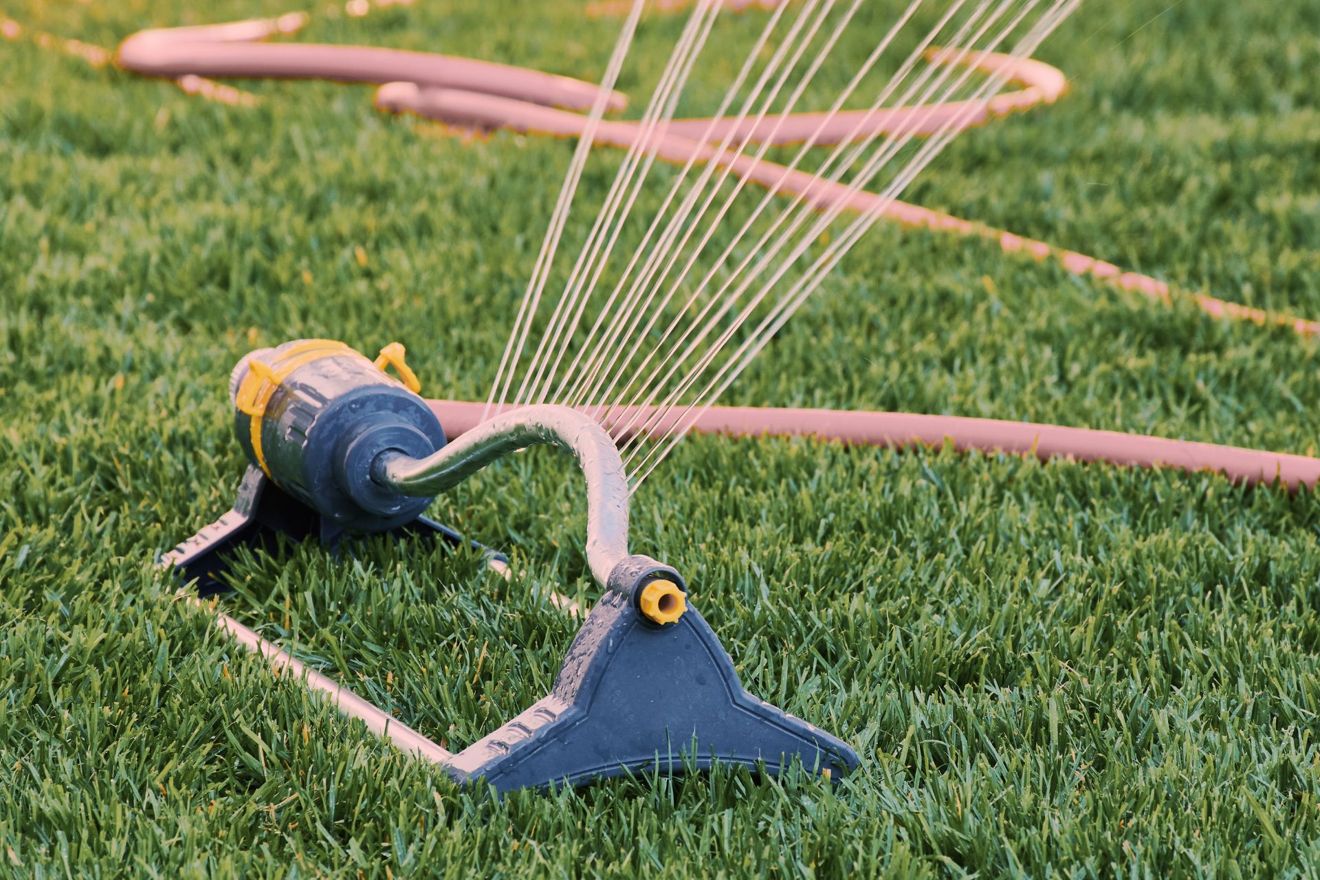 Auch das Wässern gehört zur Frühjahrspflege – allerdings mit Augenmaß. Im Frühjahr gilt oft: Weniger ist mehr. Auch das Wässern gehört zur Frühjahrspflege – allerdings mit Augenmaß. Im Frühjahr gilt oft: Weniger ist mehr.