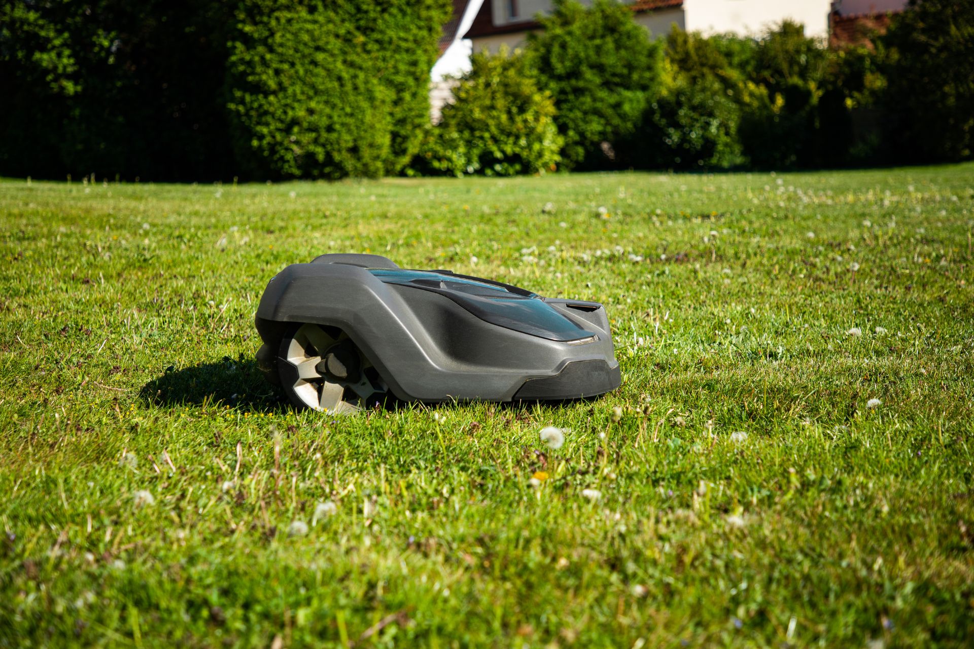 Was viele nicht wissen: Rasenroboter können für Igel und andere Kleintiere eine echte Gefahr darstellen. Was viele nicht wissen: Rasenroboter können für Igel und andere Kleintiere eine echte Gefahr darstellen.