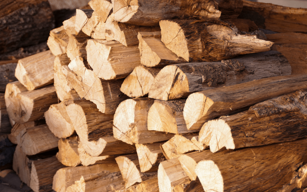 Welche Holzarten eignen sich als Brennholz?