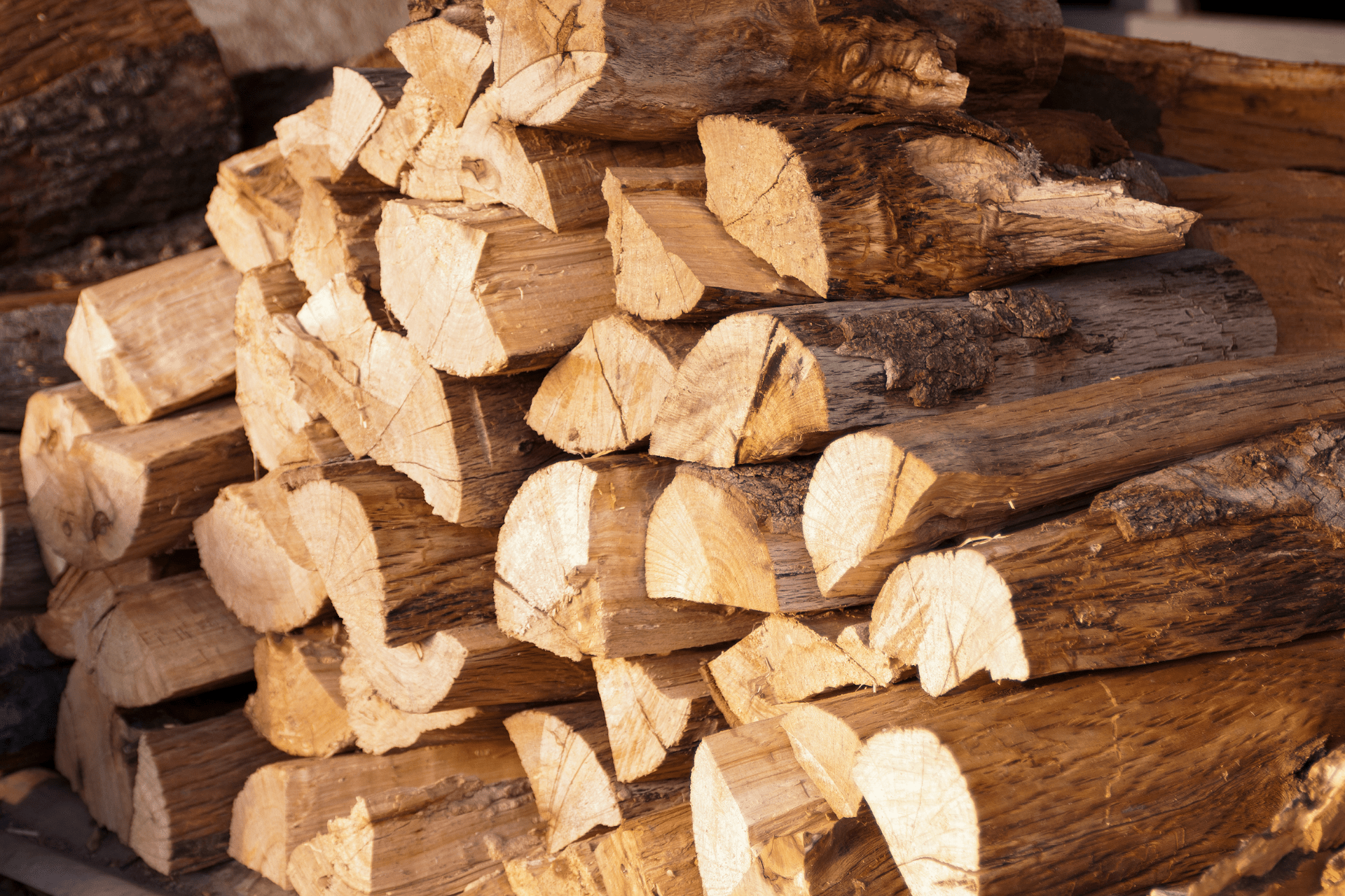 Welche Holzarten eignen sich als Brennholz? Sommer, Sonne, Urlaub – wer denkt da schon an den nächsten Winter? Dabei kommt die kalte Jahreszeit bekanntlich schneller, als man manchmal denkt.