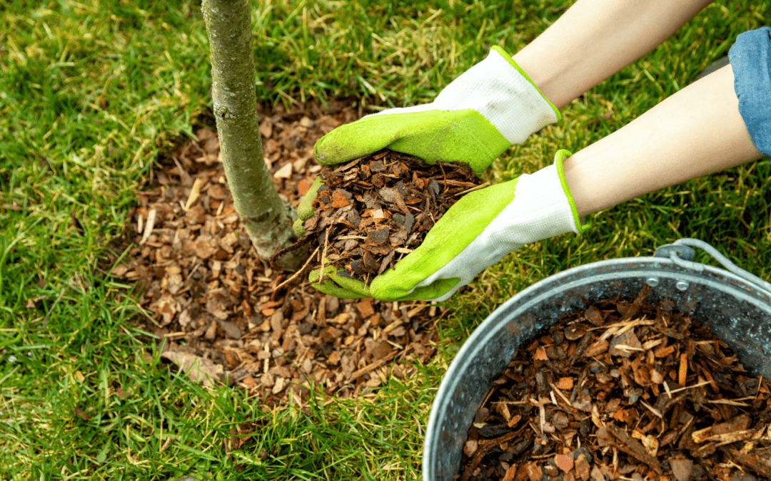 Mulchen im Garten