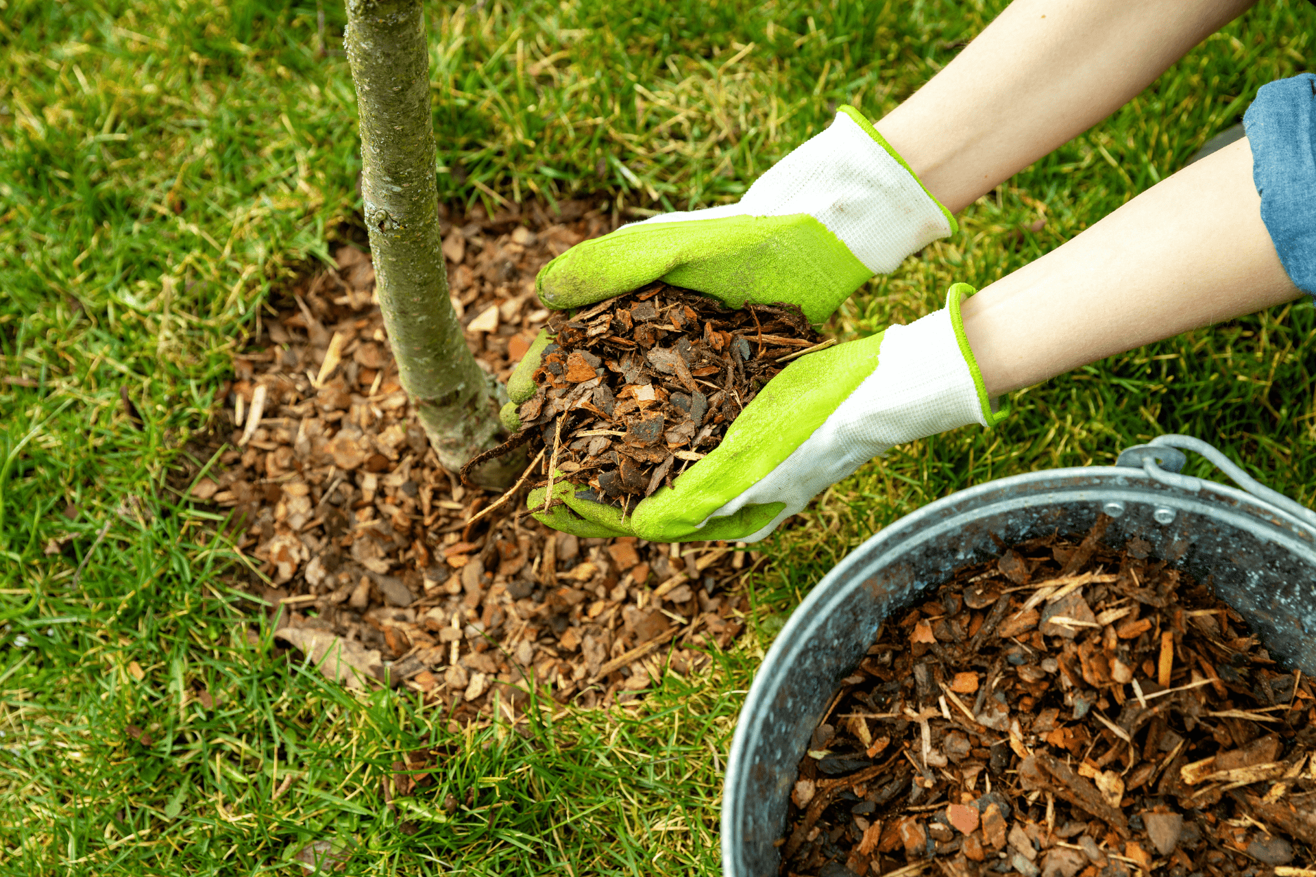 Mulchen im Garten – weniger Arbeit und gesunde Pflanzen Was ist Mulchen eigentlich und warum sollte man den Boden im Garten damit bedecken?